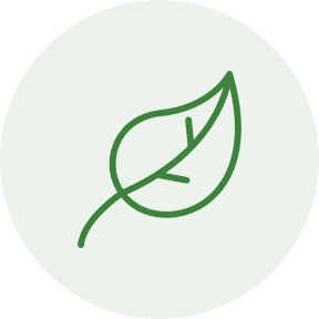 Icon (1)